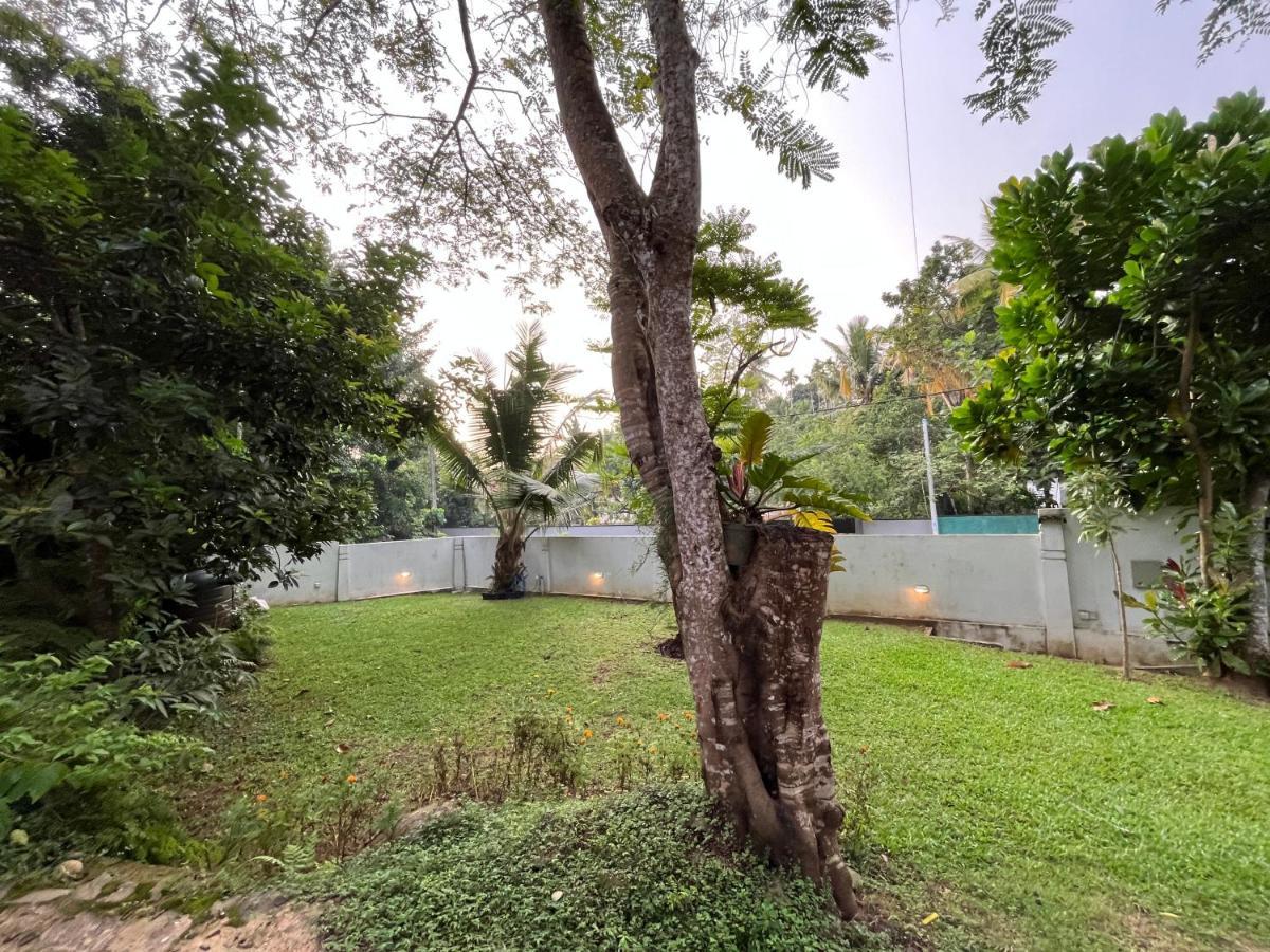 Villa Dinoos- เวลิกามา ภายนอก รูปภาพ