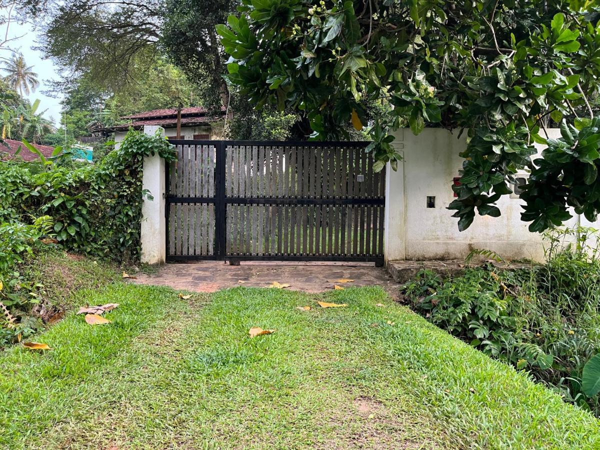 Villa Dinoos- เวลิกามา ภายนอก รูปภาพ