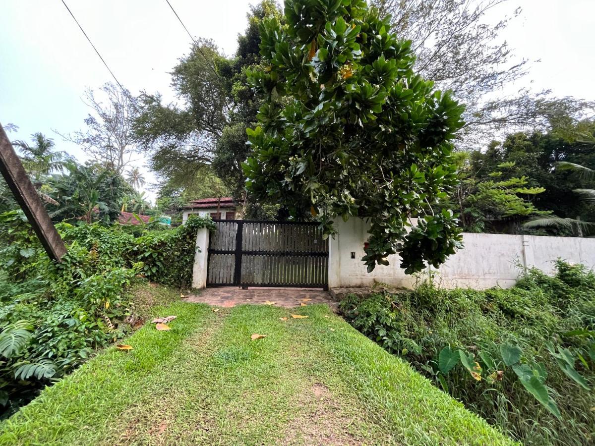 Villa Dinoos- เวลิกามา ภายนอก รูปภาพ
