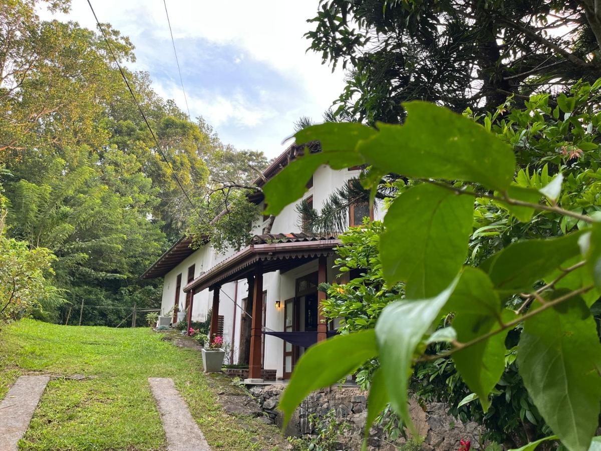 Villa Dinoos- เวลิกามา ภายนอก รูปภาพ