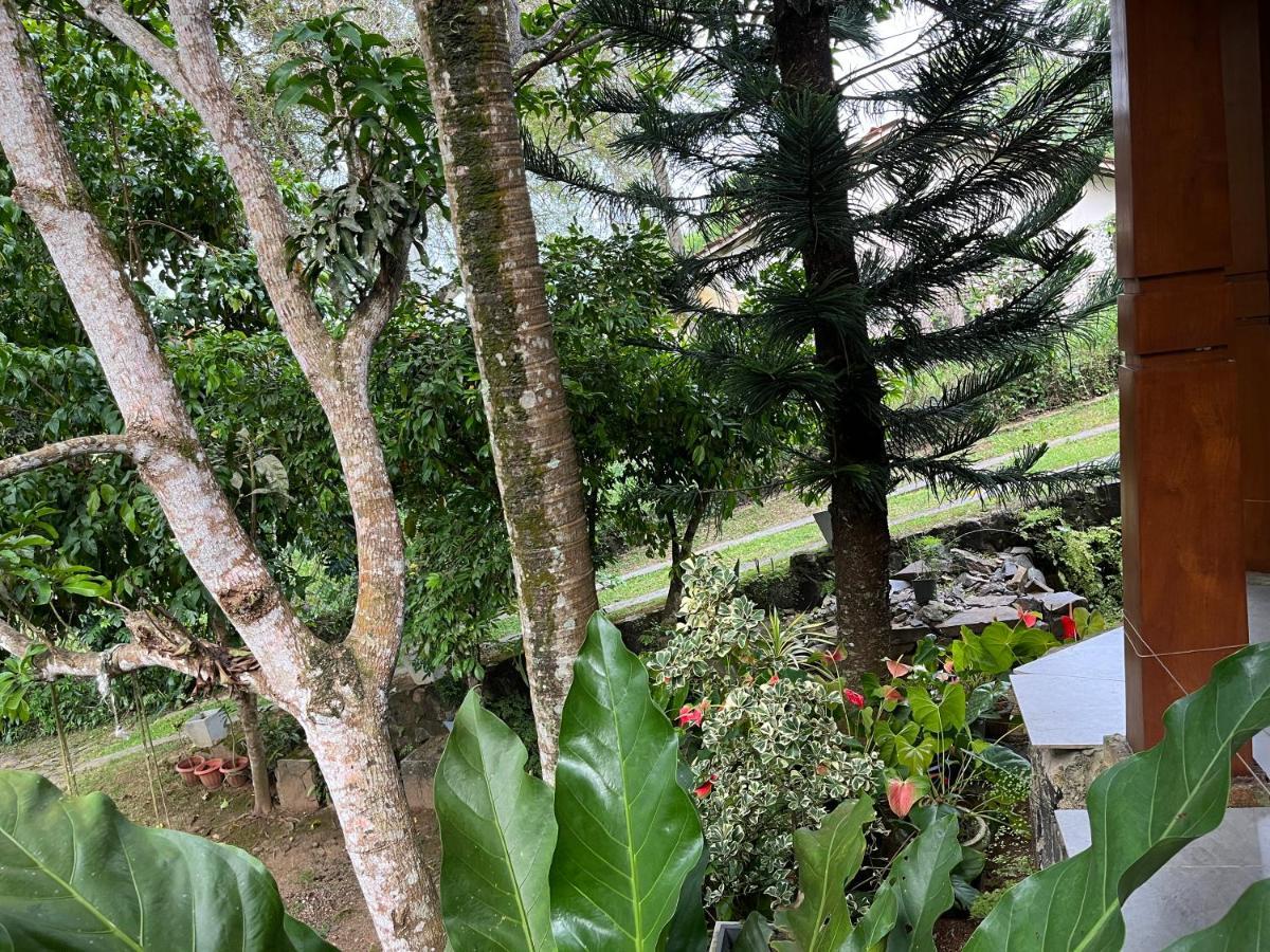 Villa Dinoos- เวลิกามา ภายนอก รูปภาพ