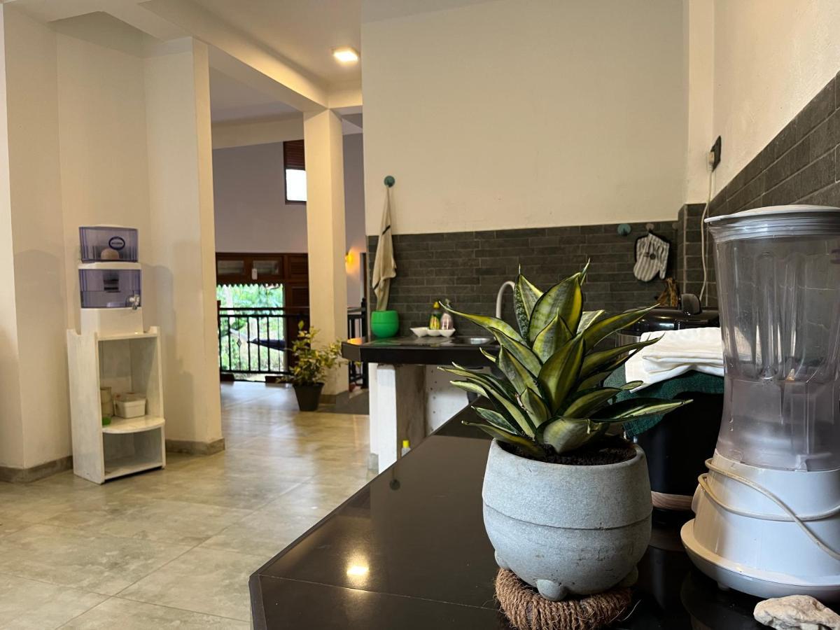 Villa Dinoos- เวลิกามา ภายนอก รูปภาพ