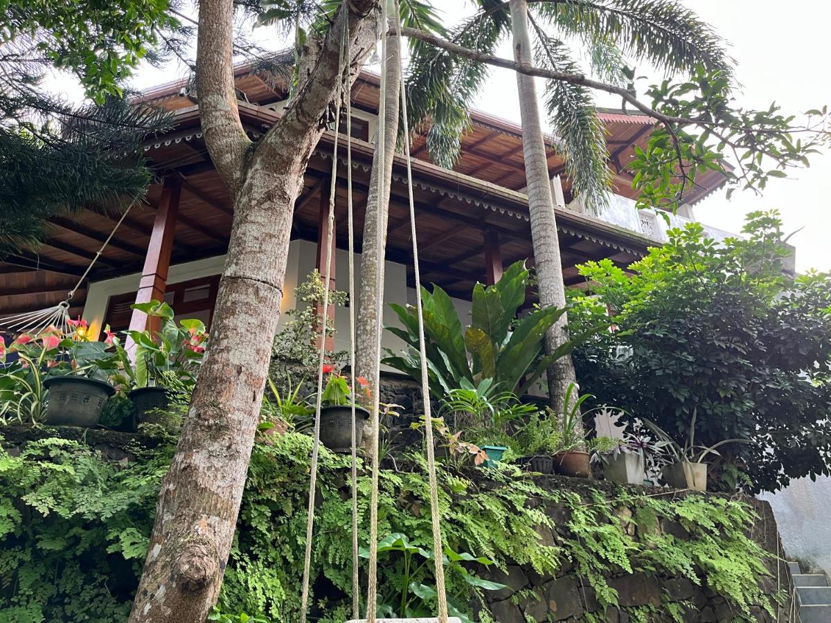 Villa Dinoos- เวลิกามา ภายนอก รูปภาพ