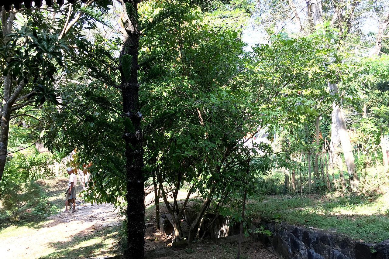 Villa Dinoos- เวลิกามา ภายนอก รูปภาพ